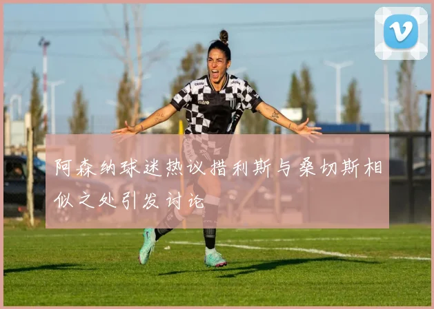 阿森纳球迷热议措利斯与桑切斯相似之处引发讨论